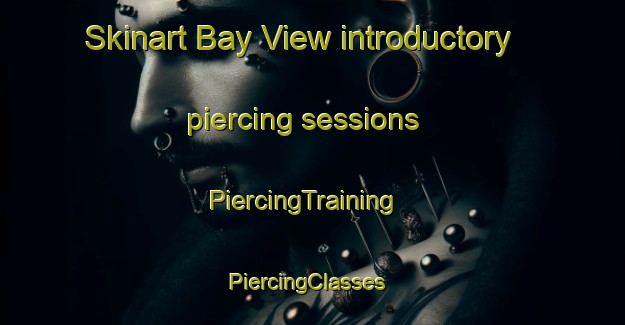 Skinart Bay View introductory piercing sessions | PiercingTraining | PiercingClasses | SkinartTraining-Canada