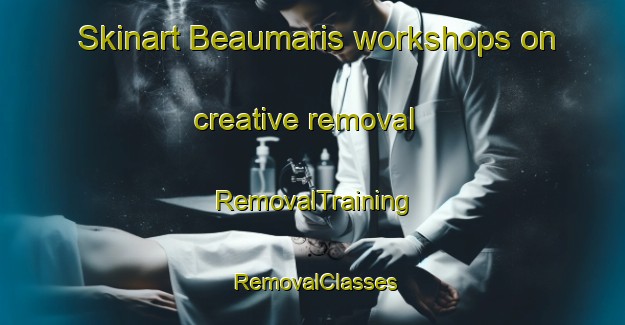 Skinart Beaumaris workshops on creative removal | RemovalTraining | RemovalClasses | SkinartTraining-Canada
