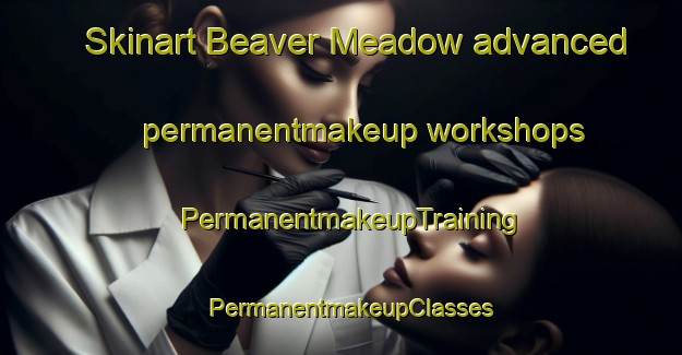 Skinart Beaver Meadow advanced permanentmakeup workshops | PermanentmakeupTraining | PermanentmakeupClasses | SkinartTraining-Canada