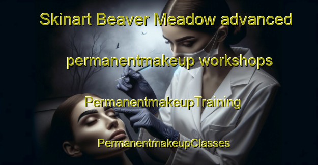 Skinart Beaver Meadow advanced permanentmakeup workshops | PermanentmakeupTraining | PermanentmakeupClasses | SkinartTraining-Canada