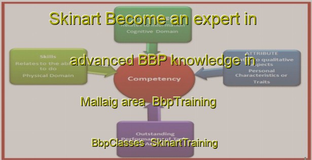 Skinart Become an expert in advanced BBP knowledge in Mallaig area | BbpTraining | BbpClasses | SkinartTraining-Canada