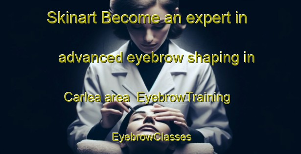 Skinart Become an expert in advanced eyebrow shaping in Carlea area | EyebrowTraining | EyebrowClasses | SkinartTraining-Canada
