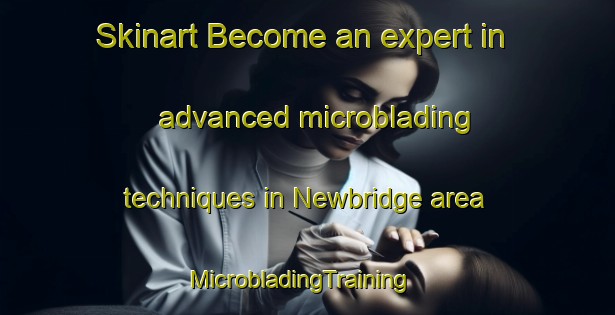Skinart Become an expert in advanced microblading techniques in Newbridge area | MicrobladingTraining | MicrobladingClasses | SkinartTraining-Canada