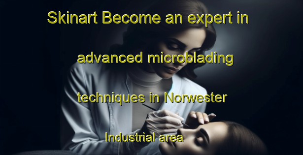 Skinart Become an expert in advanced microblading techniques in Norwester Industrial area | MicrobladingTraining | MicrobladingClasses | SkinartTraining-Canada