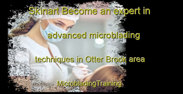 Skinart Become an expert in advanced microblading techniques in Otter Brook area | MicrobladingTraining | MicrobladingClasses | SkinartTraining-Canada