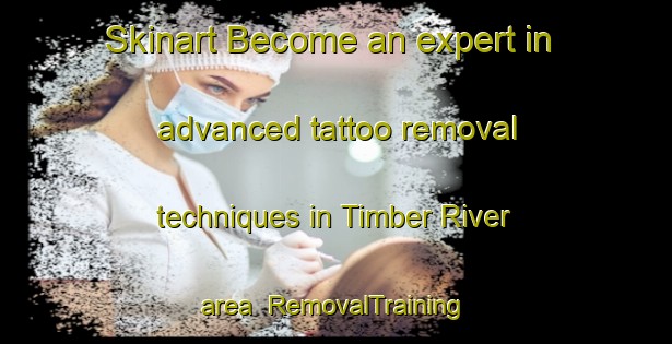 Skinart Become an expert in advanced tattoo removal techniques in Timber River area | RemovalTraining | RemovalClasses | SkinartTraining-Canada