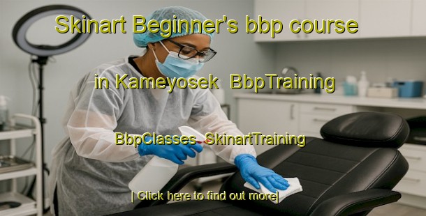 Skinart Beginner's bbp course in Kameyosek | BbpTraining | BbpClasses | SkinartTraining-Canada