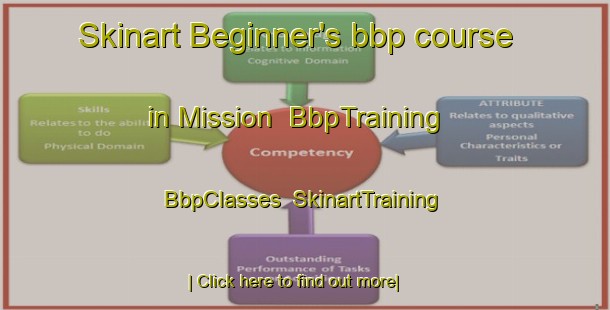 Skinart Beginner's bbp course in Mission | BbpTraining | BbpClasses | SkinartTraining-Canada