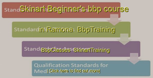 Skinart Beginner's bbp course in Ramona | BbpTraining | BbpClasses | SkinartTraining-Canada