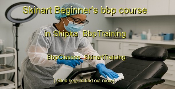 Skinart Beginner's bbp course in Shipka | BbpTraining | BbpClasses | SkinartTraining-Canada