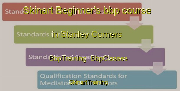 Skinart Beginner's bbp course in Stanley Corners | BbpTraining | BbpClasses | SkinartTraining-Canada