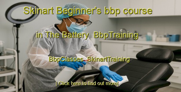Skinart Beginner's bbp course in The Battery | BbpTraining | BbpClasses | SkinartTraining-Canada