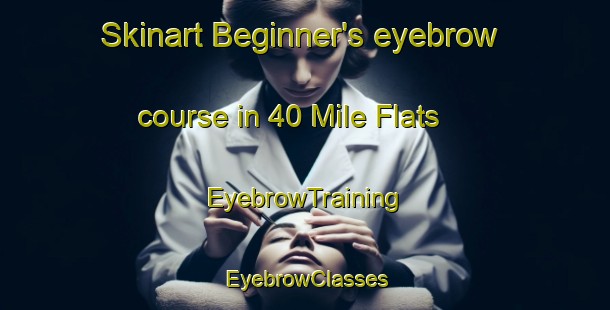 Skinart Beginner's eyebrow course in 40 Mile Flats | EyebrowTraining | EyebrowClasses | SkinartTraining-Canada