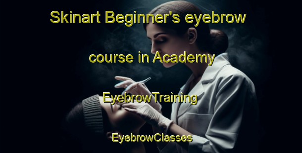 Skinart Beginner's eyebrow course in Academy | EyebrowTraining | EyebrowClasses | SkinartTraining-Canada