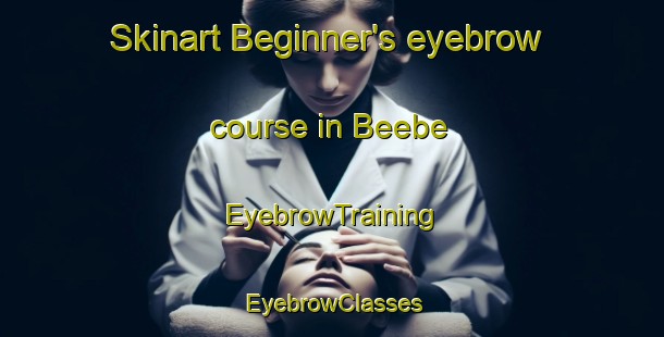 Skinart Beginner's eyebrow course in Beebe | EyebrowTraining | EyebrowClasses | SkinartTraining-Canada