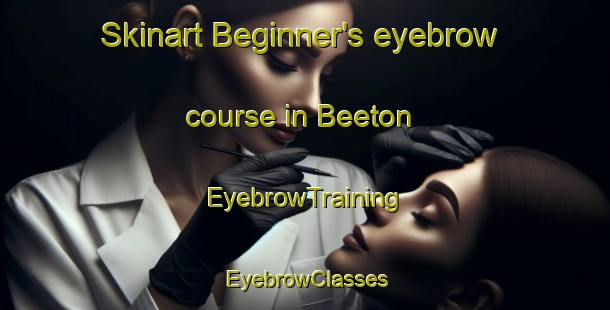 Skinart Beginner's eyebrow course in Beeton | EyebrowTraining | EyebrowClasses | SkinartTraining-Canada