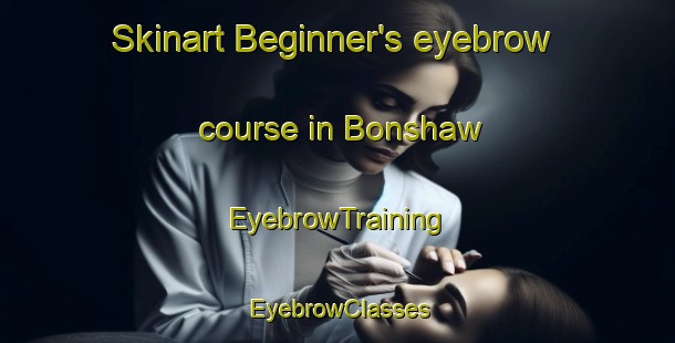 Skinart Beginner's eyebrow course in Bonshaw | EyebrowTraining | EyebrowClasses | SkinartTraining-Canada
