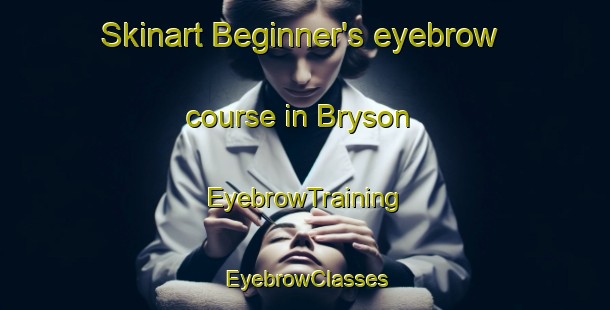 Skinart Beginner's eyebrow course in Bryson | EyebrowTraining | EyebrowClasses | SkinartTraining-Canada