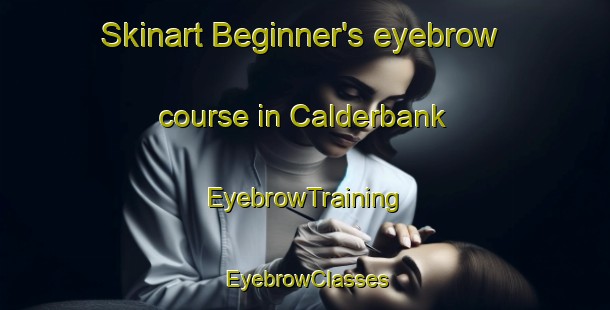 Skinart Beginner's eyebrow course in Calderbank | EyebrowTraining | EyebrowClasses | SkinartTraining-Canada
