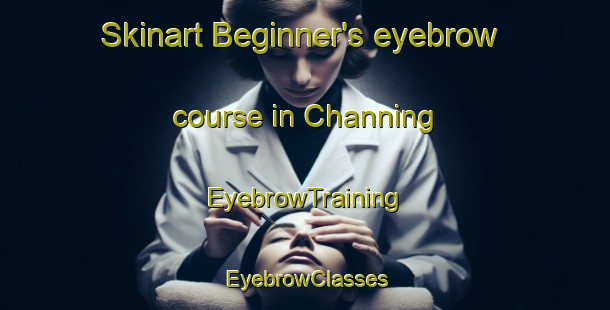 Skinart Beginner's eyebrow course in Channing | EyebrowTraining | EyebrowClasses | SkinartTraining-Canada