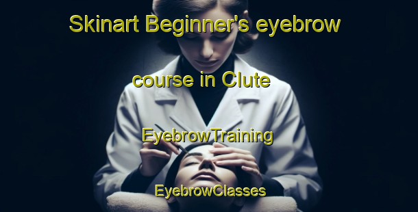 Skinart Beginner's eyebrow course in Clute | EyebrowTraining | EyebrowClasses | SkinartTraining-Canada