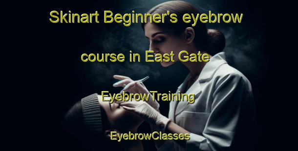 Skinart Beginner's eyebrow course in East Gate | EyebrowTraining | EyebrowClasses | SkinartTraining-Canada