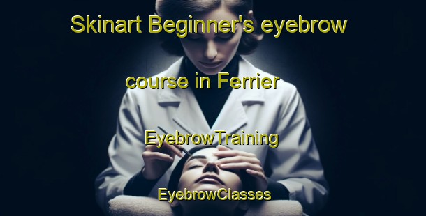 Skinart Beginner's eyebrow course in Ferrier | EyebrowTraining | EyebrowClasses | SkinartTraining-Canada