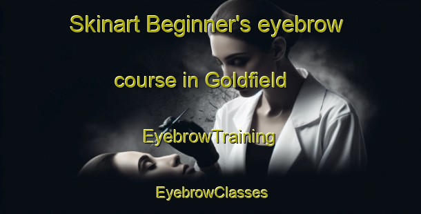 Skinart Beginner's eyebrow course in Goldfield | EyebrowTraining | EyebrowClasses | SkinartTraining-Canada