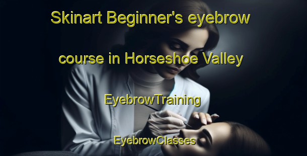 Skinart Beginner's eyebrow course in Horseshoe Valley | EyebrowTraining | EyebrowClasses | SkinartTraining-Canada