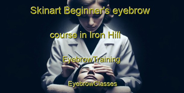 Skinart Beginner's eyebrow course in Iron Hill | EyebrowTraining | EyebrowClasses | SkinartTraining-Canada