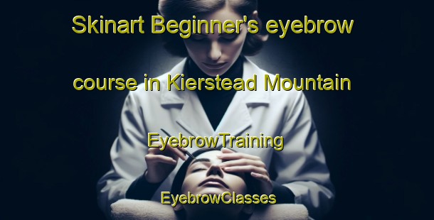 Skinart Beginner's eyebrow course in Kierstead Mountain | EyebrowTraining | EyebrowClasses | SkinartTraining-Canada