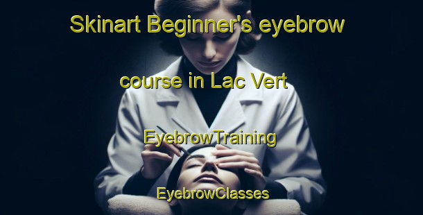 Skinart Beginner's eyebrow course in Lac Vert | EyebrowTraining | EyebrowClasses | SkinartTraining-Canada