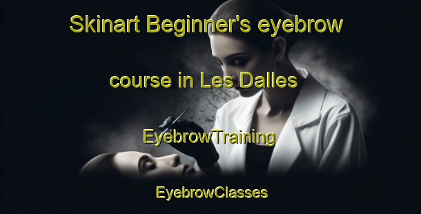 Skinart Beginner's eyebrow course in Les Dalles | EyebrowTraining | EyebrowClasses | SkinartTraining-Canada