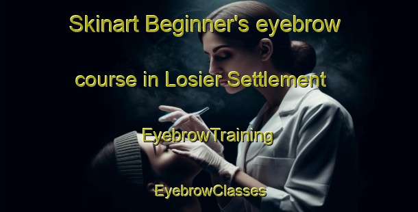 Skinart Beginner's eyebrow course in Losier Settlement | EyebrowTraining | EyebrowClasses | SkinartTraining-Canada