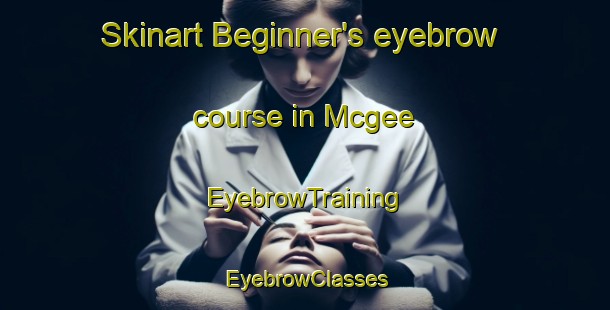 Skinart Beginner's eyebrow course in Mcgee | EyebrowTraining | EyebrowClasses | SkinartTraining-Canada