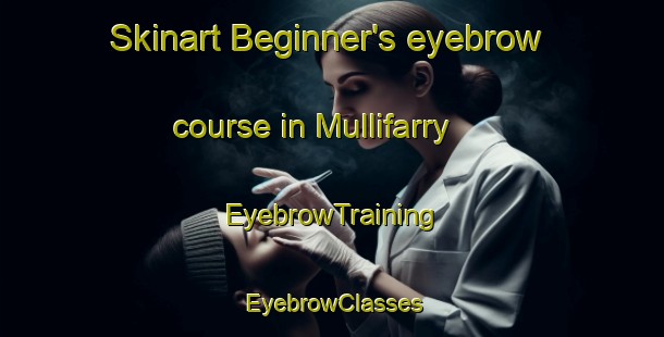 Skinart Beginner's eyebrow course in Mullifarry | EyebrowTraining | EyebrowClasses | SkinartTraining-Canada