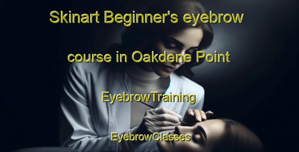 Skinart Beginner's eyebrow course in Oakdene Point | EyebrowTraining | EyebrowClasses | SkinartTraining-Canada