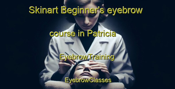 Skinart Beginner's eyebrow course in Patricia | EyebrowTraining | EyebrowClasses | SkinartTraining-Canada