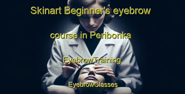 Skinart Beginner's eyebrow course in Peribonka | EyebrowTraining | EyebrowClasses | SkinartTraining-Canada