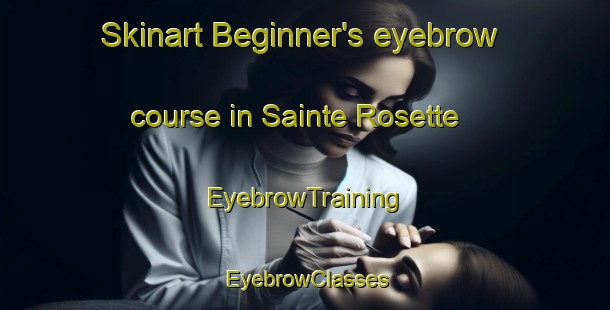 Skinart Beginner's eyebrow course in Sainte Rosette | EyebrowTraining | EyebrowClasses | SkinartTraining-Canada