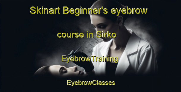Skinart Beginner's eyebrow course in Sirko | EyebrowTraining | EyebrowClasses | SkinartTraining-Canada