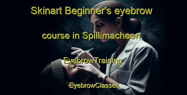 Skinart Beginner's eyebrow course in Spillimacheen | EyebrowTraining | EyebrowClasses | SkinartTraining-Canada