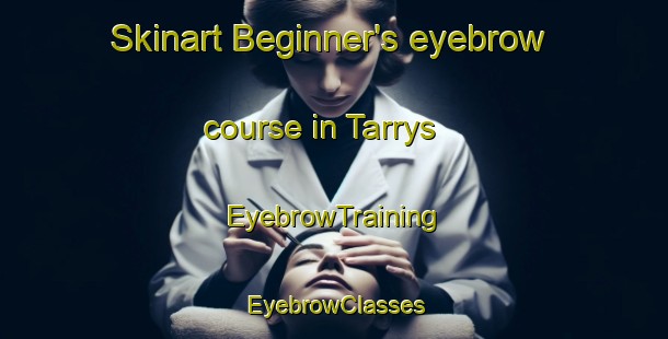 Skinart Beginner's eyebrow course in Tarrys | EyebrowTraining | EyebrowClasses | SkinartTraining-Canada