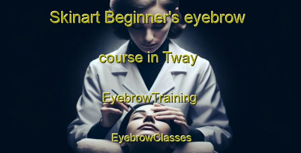 Skinart Beginner's eyebrow course in Tway | EyebrowTraining | EyebrowClasses | SkinartTraining-Canada