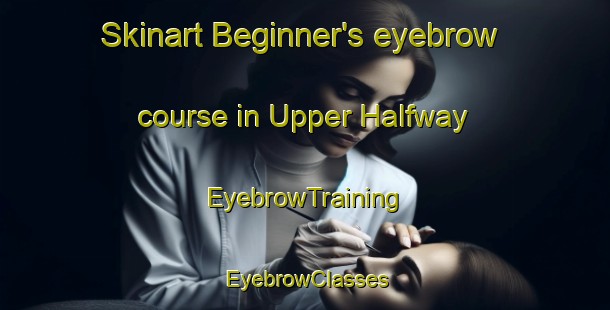 Skinart Beginner's eyebrow course in Upper Halfway | EyebrowTraining | EyebrowClasses | SkinartTraining-Canada