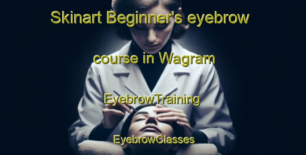 Skinart Beginner's eyebrow course in Wagram | EyebrowTraining | EyebrowClasses | SkinartTraining-Canada