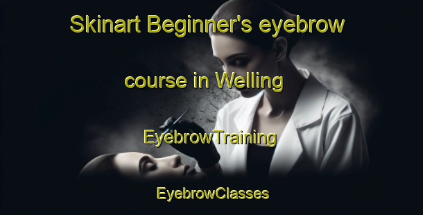 Skinart Beginner's eyebrow course in Welling | EyebrowTraining | EyebrowClasses | SkinartTraining-Canada