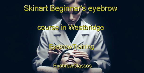 Skinart Beginner's eyebrow course in Westbridge | EyebrowTraining | EyebrowClasses | SkinartTraining-Canada