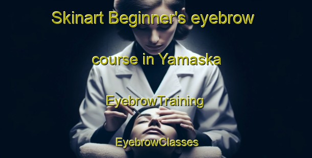 Skinart Beginner's eyebrow course in Yamaska | EyebrowTraining | EyebrowClasses | SkinartTraining-Canada
