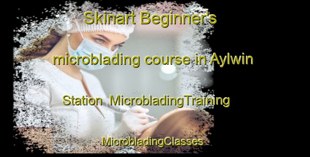 Skinart Beginner's microblading course in Aylwin Station | MicrobladingTraining | MicrobladingClasses | SkinartTraining-Canada